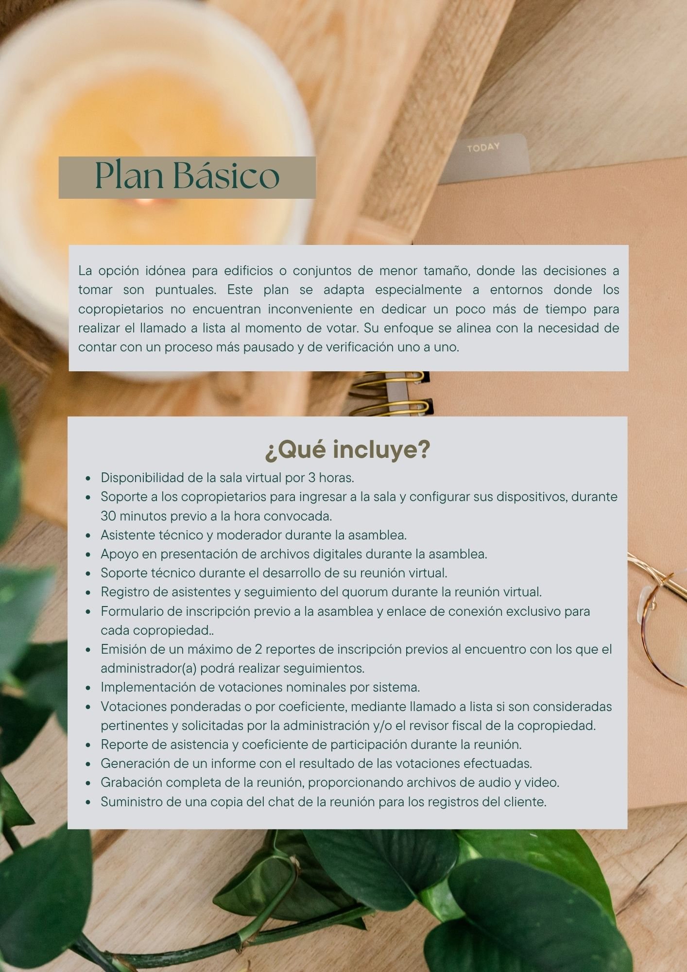 Plan básico asamblea virtual para propiedad horizontal
